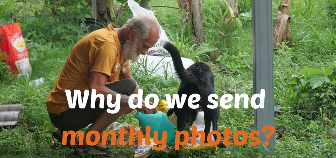 Why We Send Photos Every Month