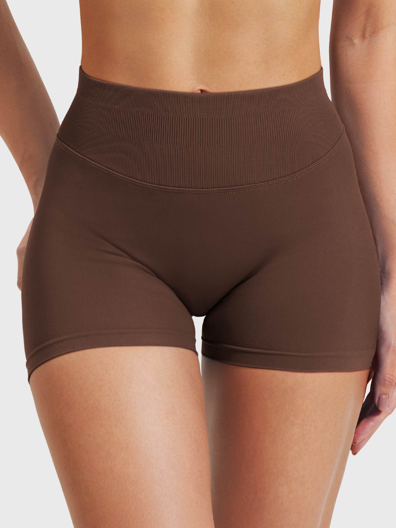 Softhue Shorts Dark Brown